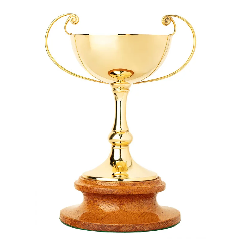 Make Your Outfit Shine With Discounted Jewelry Vintage Gilded & 9ct Gold Trophy Cup